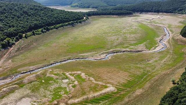 İstanbul'un suyunu sağlayan Kazandere Barajı'nda artık koyunlar otluyor! 'Türkiye için inanılmaz aciliyeti var' diyerek uyardı: Bugünden tezi yok başlamalıyız