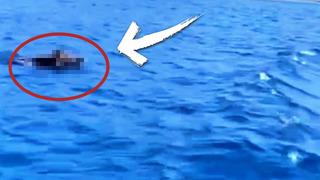 Denizin ortasında büyük bir cisim gördüler, yanına gittiklerinde ise hayrete düştüler!