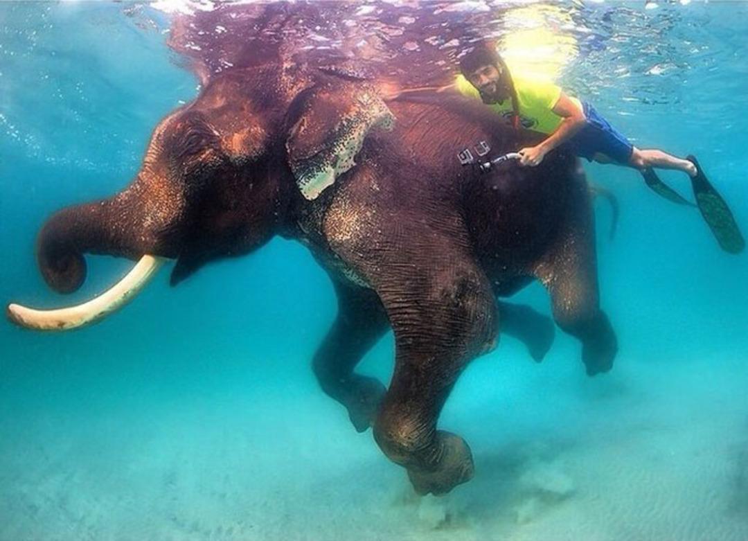 Satın alamayacağı şey yok! Zenginliğin b&ouml;ylesi
