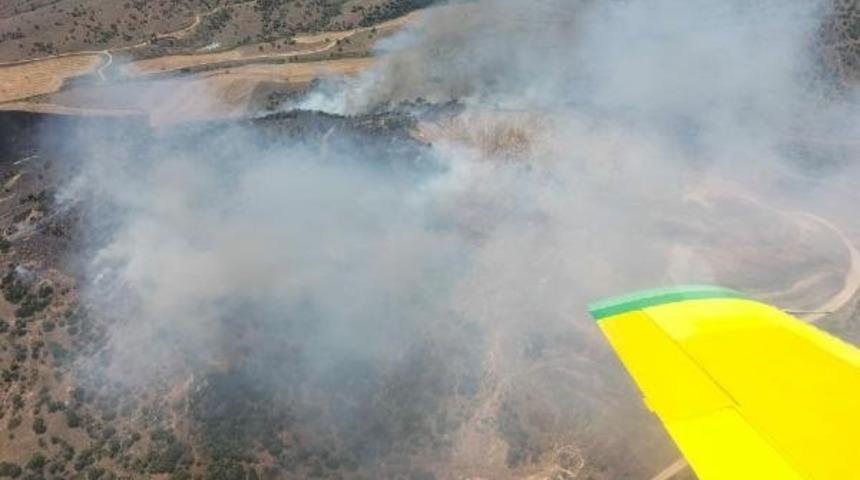 Son dakika: İzmir'de orman yangını! Tarlada başladı, hızla yayıldı
