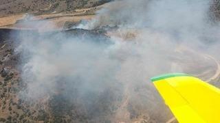 Son dakika: İzmir'de orman yangını! Tarlada başladı, hızla yayıldı