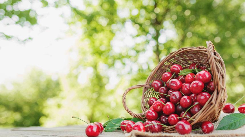 Kiraz kilo aldırır mı? Kiraz yemek kilo yapar mı?