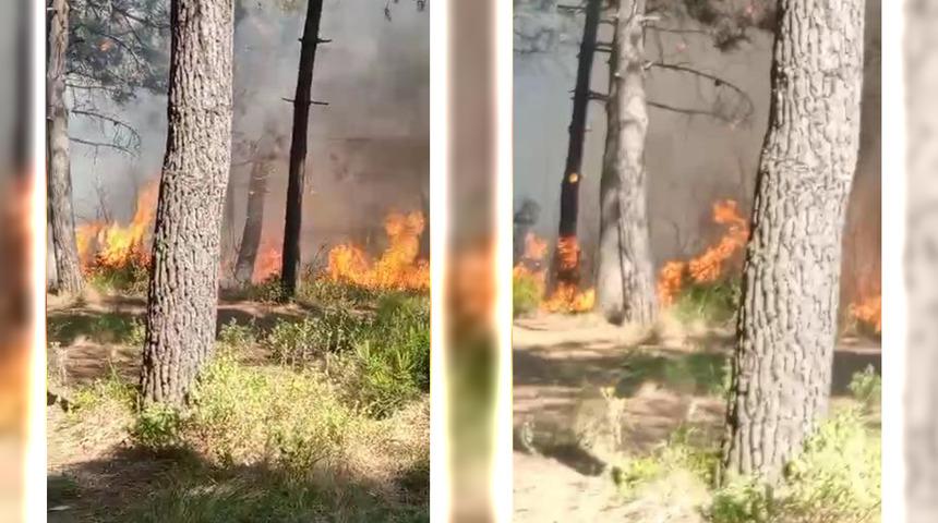 Sultangazi'de orman yangını! Havadan da müdahale edildi, büyümeden söndürüldü