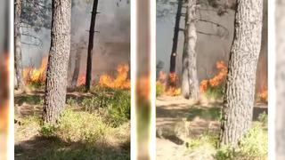 Sultangazi'de orman yangını! Havadan da müdahale edildi, büyümeden söndürüldü