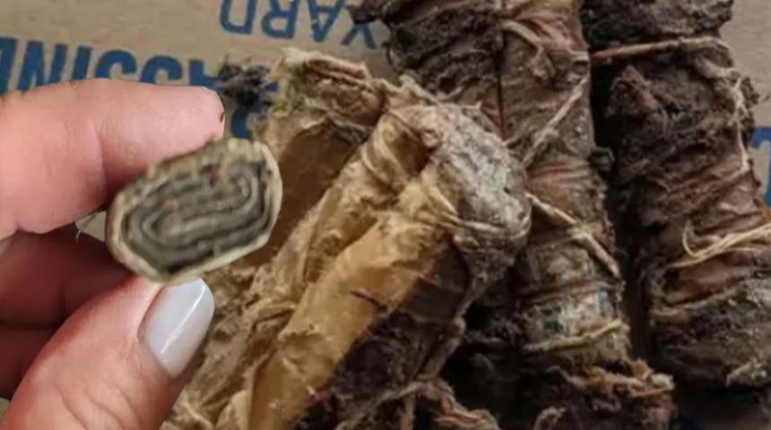 Satın aldıkları evin bahçesini yenilerken gömülü deste deste para buldular! Yabani ot zannetmişlerdi ama...