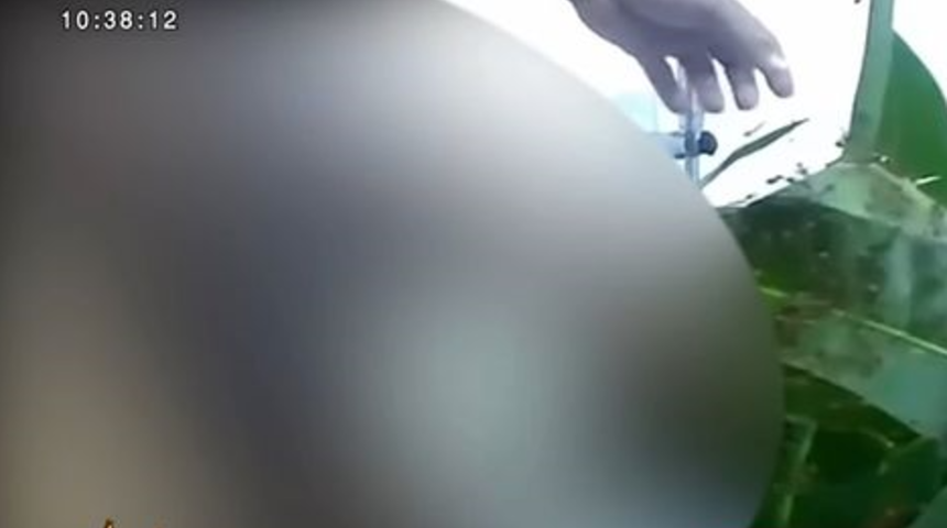 Bu yöntem kimsenin aklına gelmez! Cinsel organını büyütmek için karınca yuvasına soktu... Bir anda işler karıştı