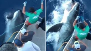 Korkunç an saniye saniye kamerada! Balık tutmak isterken oltasına köpek balığı takıldı