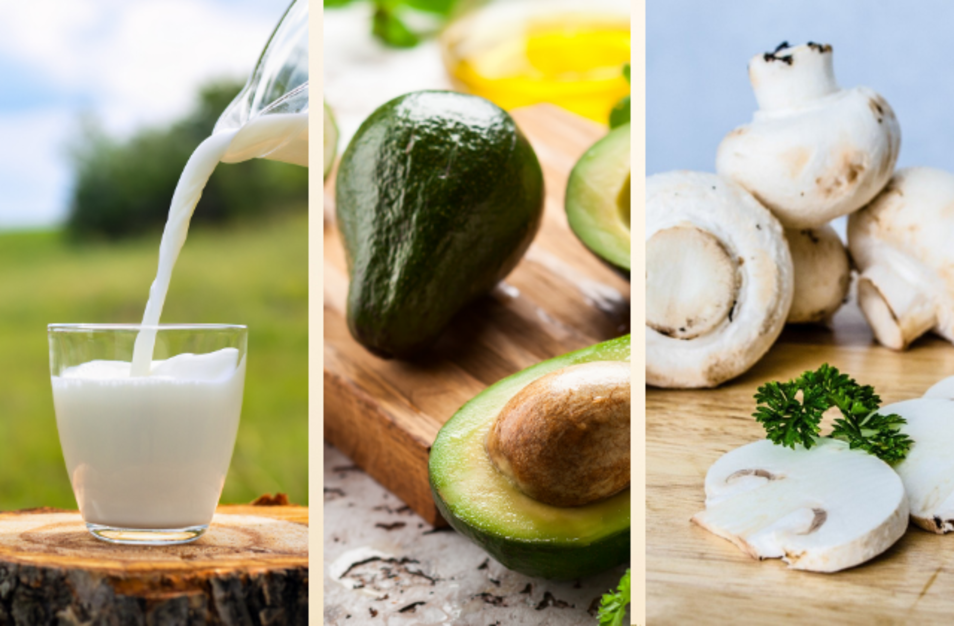 Meğer süt zararlıymış! İştahlı gözlerle baksalar bile kedi ve köpeklerinize asla vermemeniz gereken yiyecekler