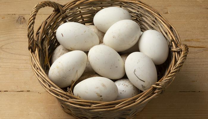 Kaz yumurtasının faydaları nelerdir? Kaz yumurtası nasıl tüketilir?