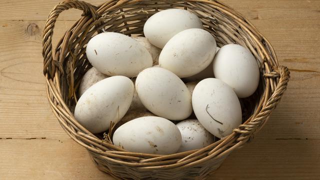 Kaz yumurtasının faydaları nelerdir? Kaz yumurtası nasıl tüketilir?	