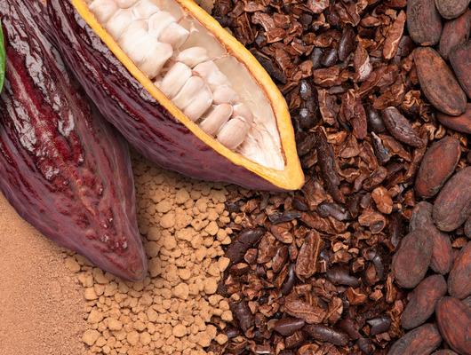Kakaonun cilde faydaları nelerdir? 