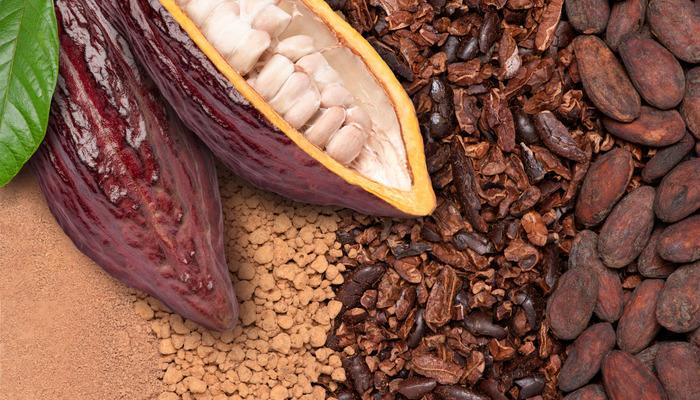 Kakaonun faydaları nelerdir? Kakao nasıl tüketilir, neye iyi gelir?