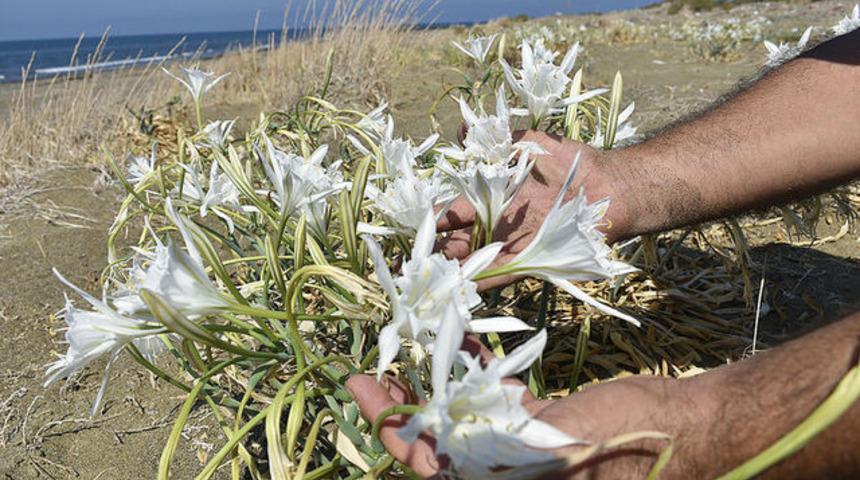 Bunu yapan yandı! Aklınızdan bile geçirmeyin, cezası 244 bin 315 TL