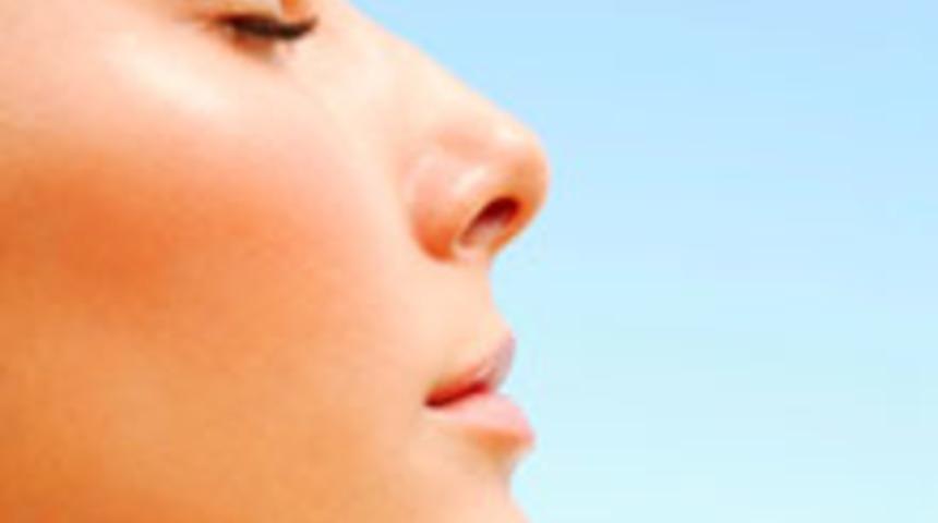Burun Ve Dudak Uyumu