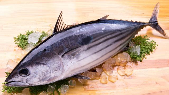 Palamutun faydaları nelerdir? Palamut balığında hangi vitaminler var, nelere iyi gelir?