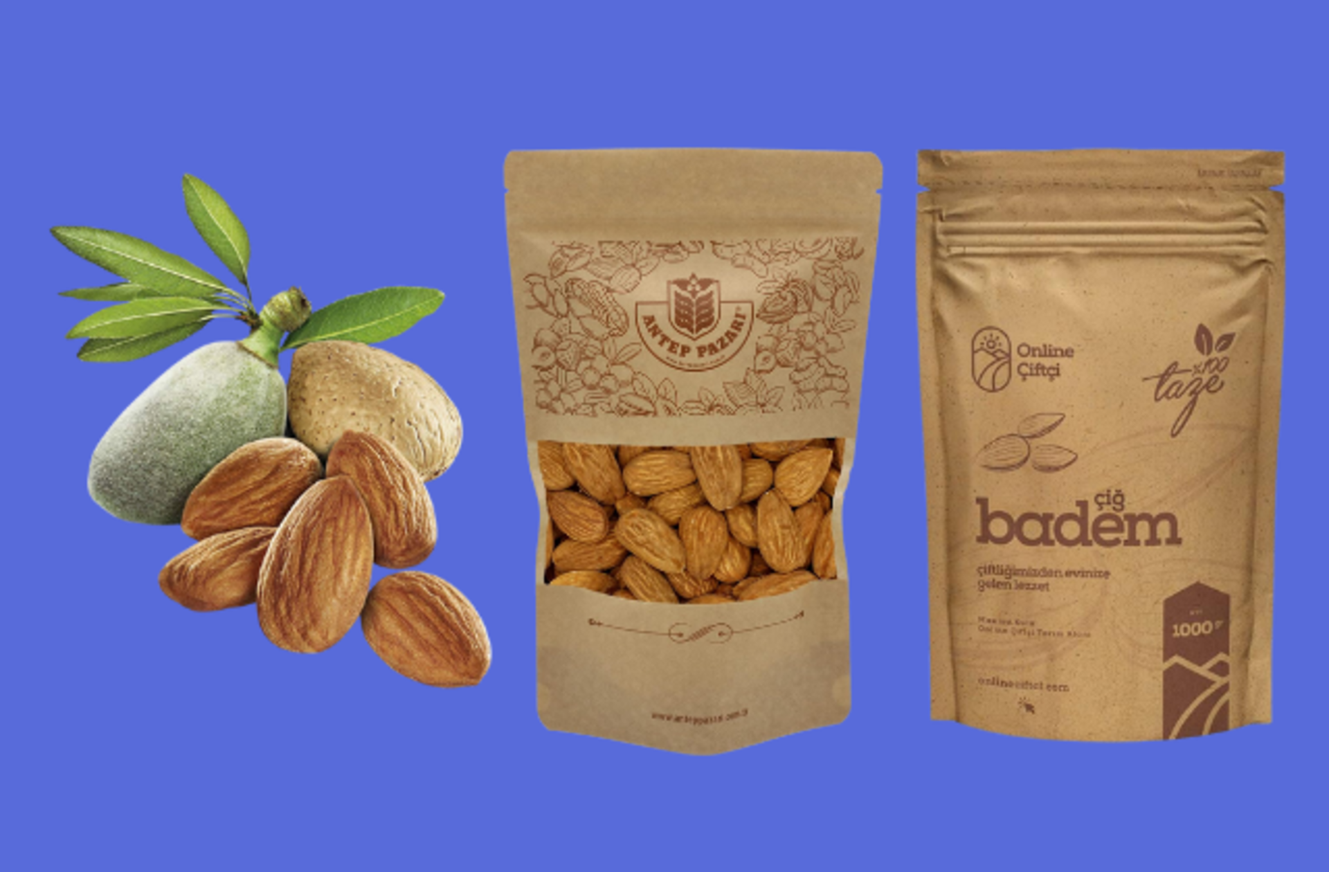 Hem faydalı hem lezzetli en iyi badem cinsleri ve çeşitleri