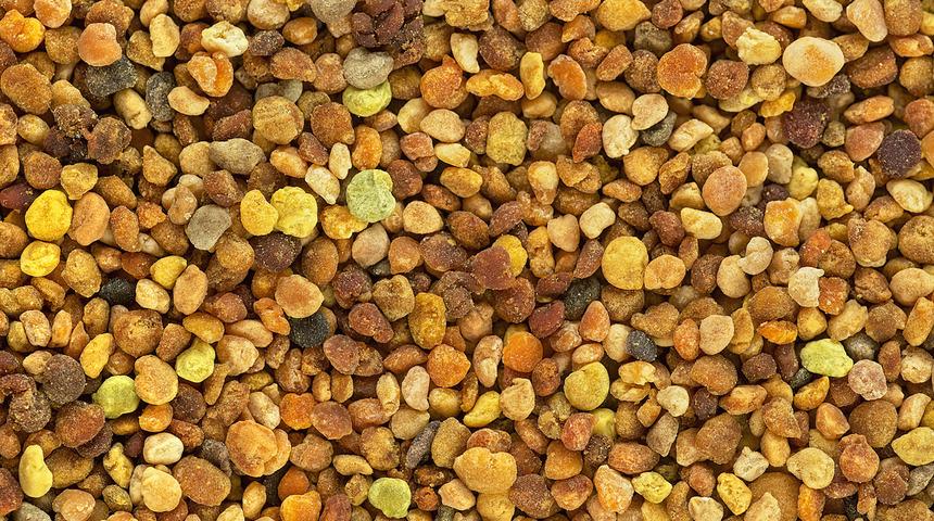 Arı ekmeğinin faydaları nelerdir? Arı ekmeği nedir, nelere iyi gelir?