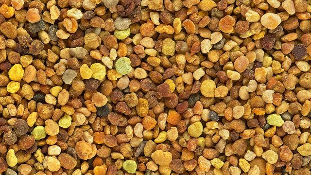 Arı ekmeğinin faydaları nelerdir? Arı ekmeği nedir, nelere iyi gelir?