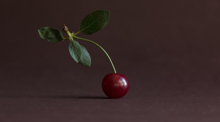 Vişne sapının faydaları nelerdir? Vişne sapı ne işe yarar?