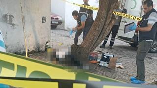 Sabah saatlerinde mahallede korkunç olay! Sokaktaki ağaçta asılı halde bulundu