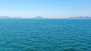 Türkiye'nin deniz ve tatlı su balıkları kırmızı liste ile korunacak