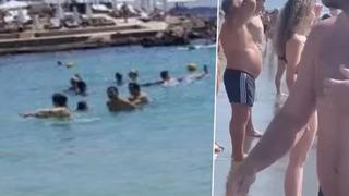 Denizin tadını çıkartıyorlardı! Kıyıya kadar gelen köpek balığı korku dolu anlar yaşattı... Birbirlerini ezerek kaçmaya çalıştılar