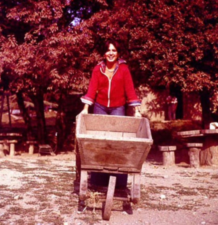 1970'lerde Sezen Aksu.