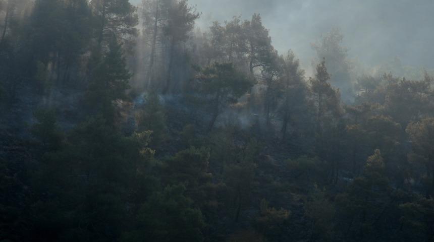 Hatay’da orman yangını! 4 saatte kontrol altında