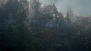 Hatay’da orman yangını! 4 saatte kontrol altında