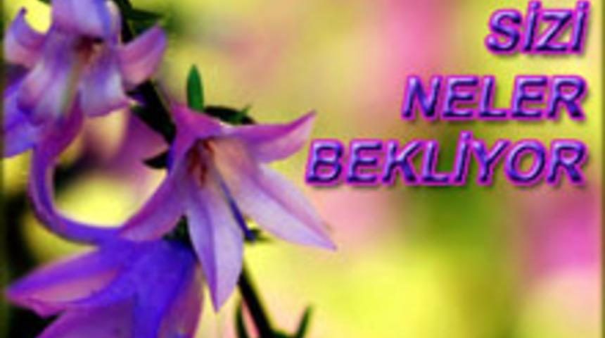 Mart Ayı Bur&ccedil; Yorumları