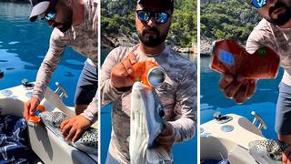 Dehşete düşüren görüntüler! Balon balığı, teneke kutuyu kraker gibi yedi