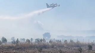 Didim'de zeytinlik alanda korkutan yangın! Havadan ve karadan müdahale edildi