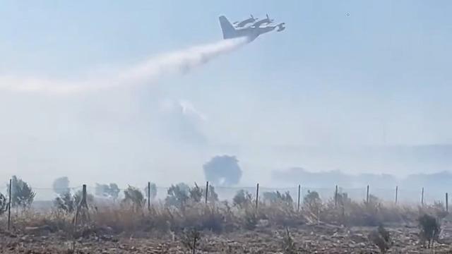 Didim'de zeytinlik alanda korkutan yangın! Havadan ve karadan müdahale edildi