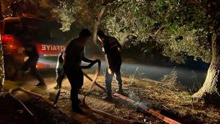 Dalaman'da ormanlık alanda yangın! Çok sayıda ekip müdahale etti