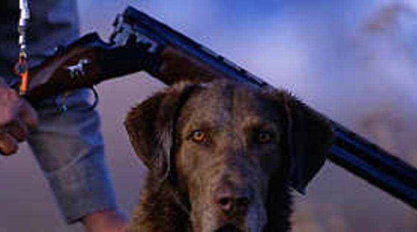 Fel&ccedil;li baba dehşet sa&ccedil;tı