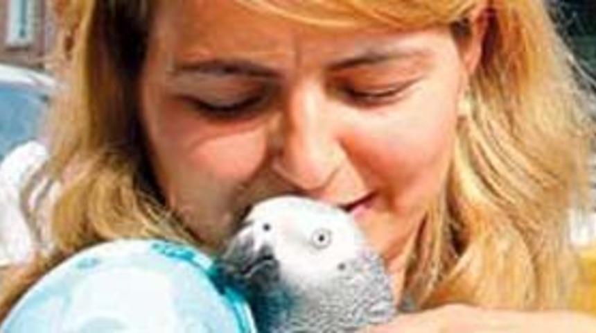 Kuş ve kümes hayvanları hasta edebilir