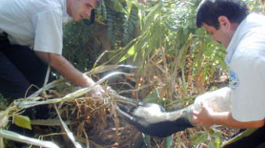 &Ccedil;ocukların oyunu k&ouml;peği &ouml;ld&uuml;r&uuml;yordu