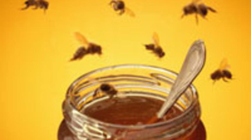 263 baldan 88'i sahte