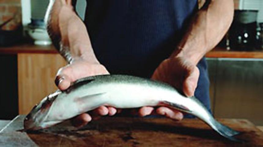 Alanya'da binlerce balık &ouml;ld&uuml;