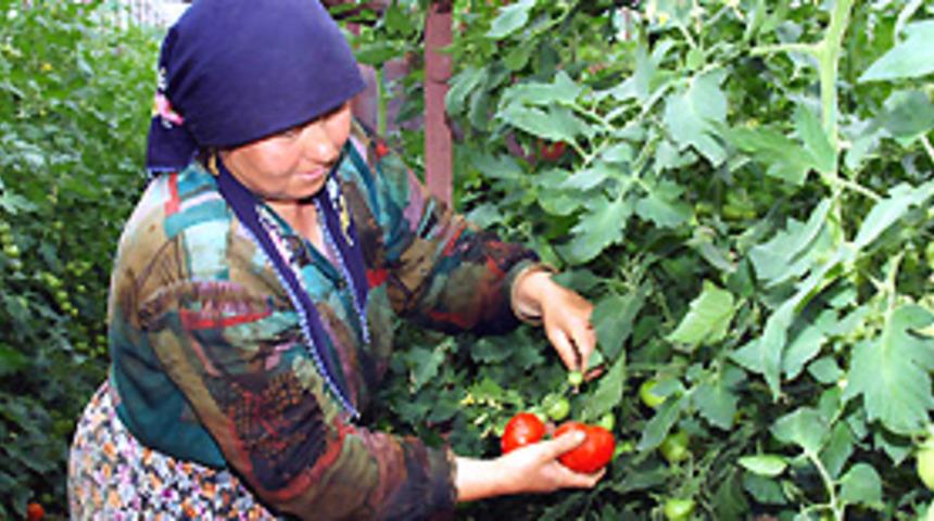&Ccedil;ift&ccedil;iye 300 bin lira destek