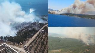 İzmir'de 2 ilçede birden orman yangını! Dumanlar gökyüzünü kapladı, görenler hemen ekipleri aradı: Karadan ve denizden tahliye