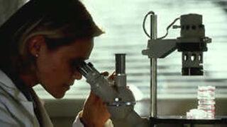 Kök hücre naklinde umut verici çalışmalar