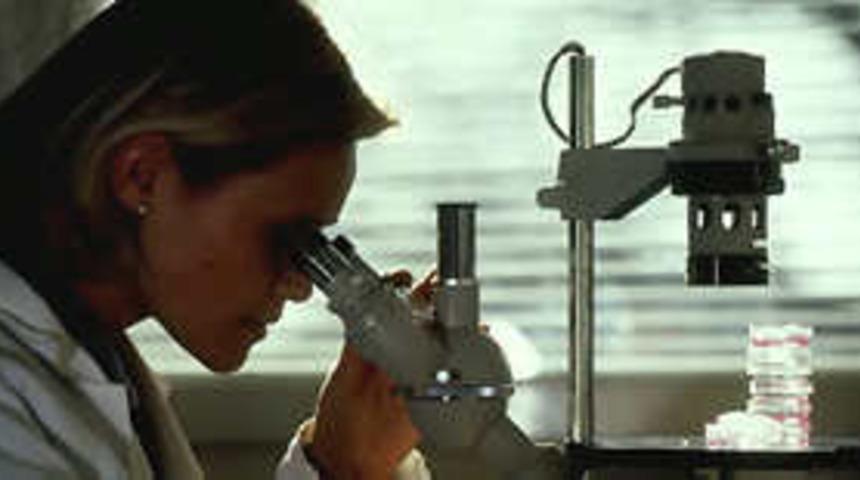 Kök hücre naklinde umut verici çalışmalar