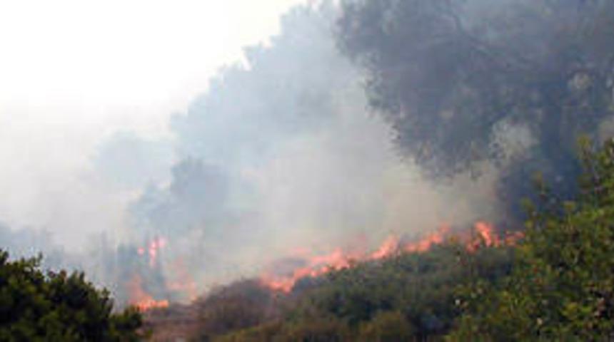 Orman yangınlarına meclis araştırması 