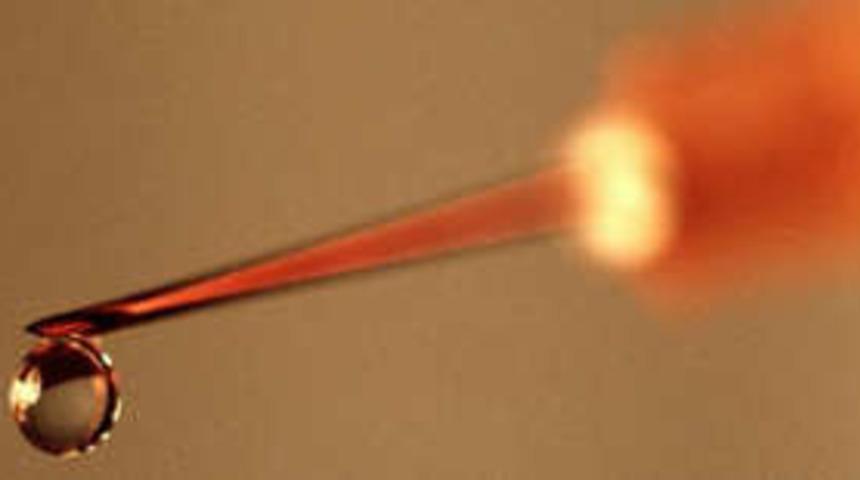 Grip aşısı kuş gribi açısından da faydalı