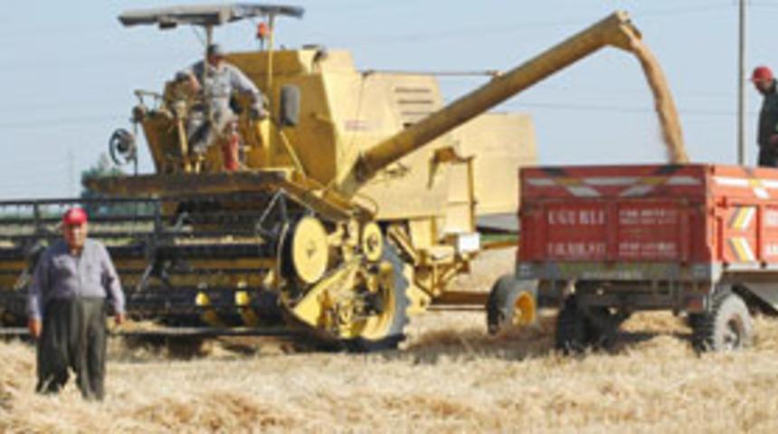 TMO, hububat alım fiyatlarını artırdı