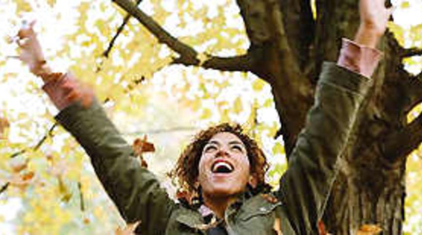 Ağaca bakan stresi yeniyor