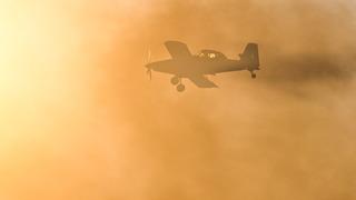 Yangın sonucu oluşan duman gökyüzünü kapladı! Durdurulan uçuşlar 22.00'den sonra normale döndü