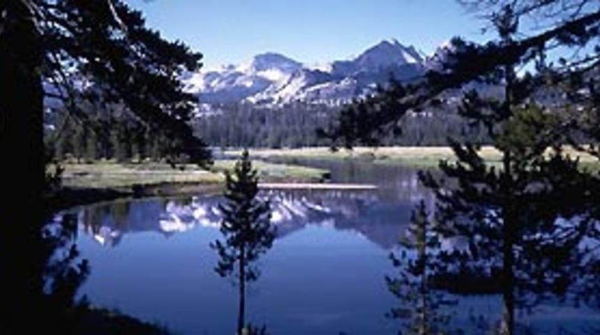 Abant'a ara&ccedil; yasağı