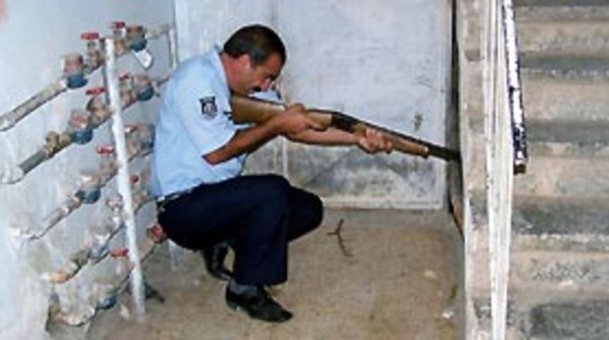 Kahramanmaraş'ta kuduz olayı